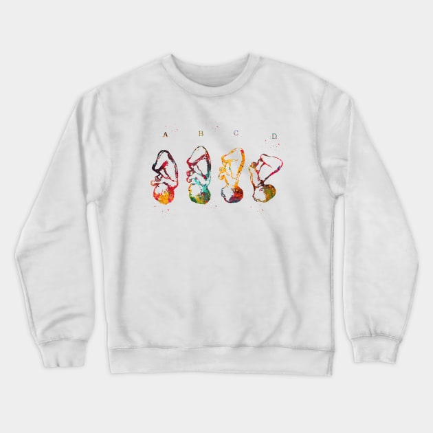 Cephalic position Crewneck Sweatshirt by erzebeth